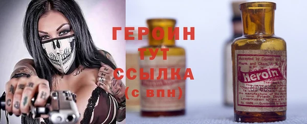 СК Алексин