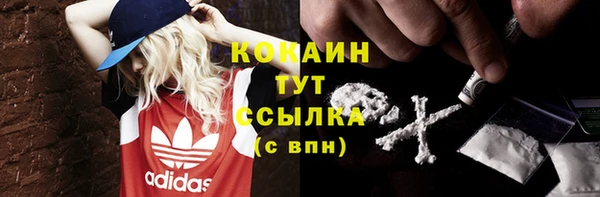 индика Абинск