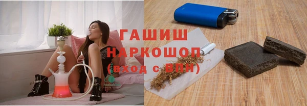 СК Алексин