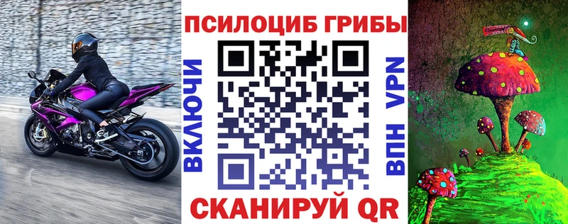 Псилоцибиновые грибы Psilocybe Сухой Лог