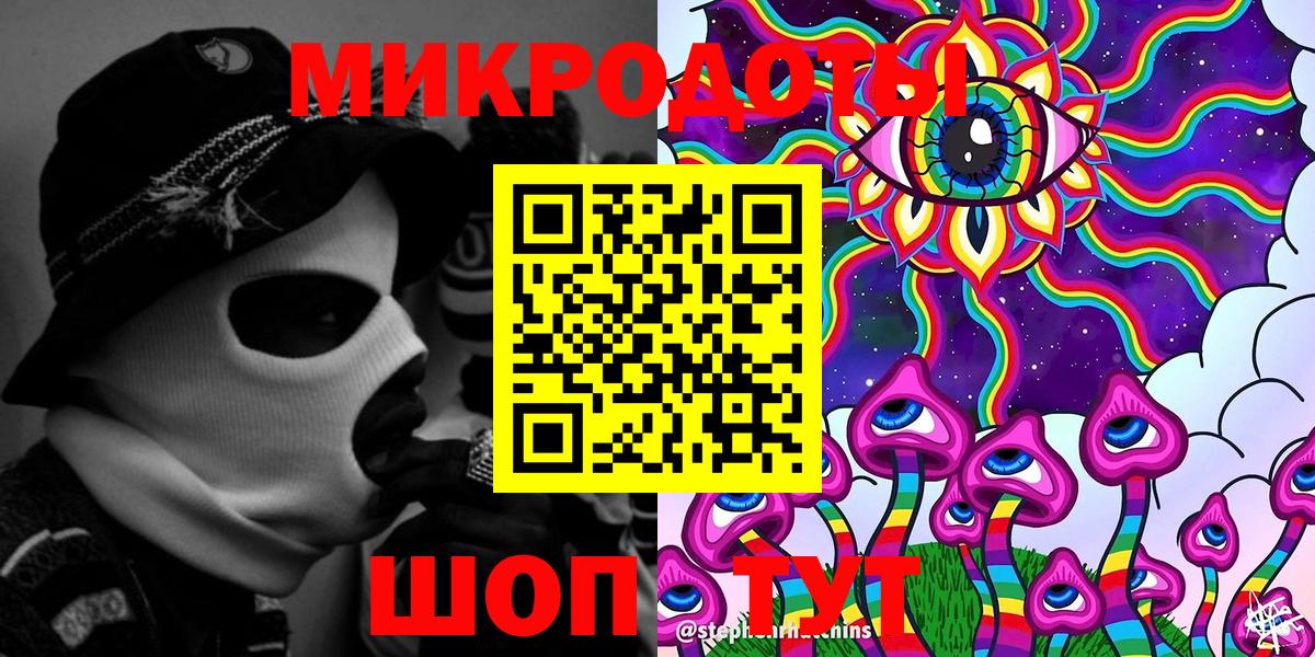 Псилоцибиновые грибы Psilocybe Сухой Лог