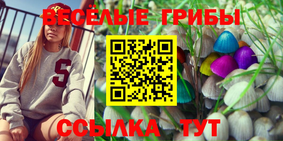 продажа наркотиков  Галлюциногенные грибы Psilocybine cubensis  Вход с VPN  Сухой Лог 