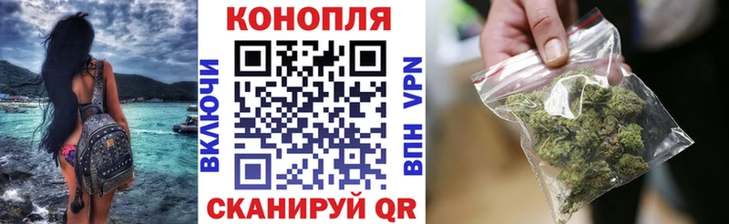 мориарти официальный сайт  Сухой Лог  Бошки Шишки семена 